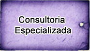 Consultoria Especializada